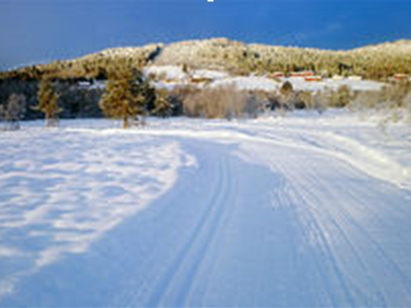Follafossrennet. Lørdag 9 Januar  Jervskogrennet. Søndag 10 Januar