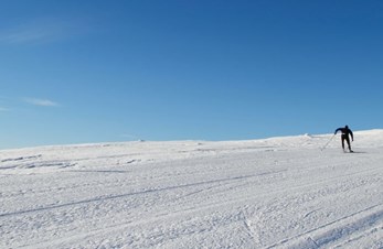 Årets skisamling i Edsåsdalen