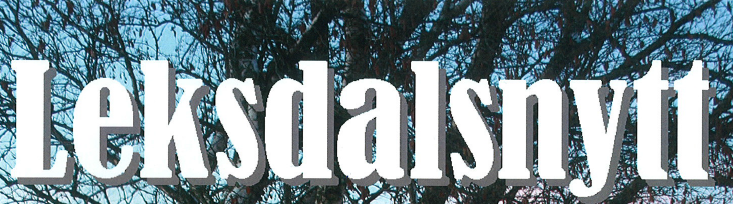 Leksdalsnytt 2015