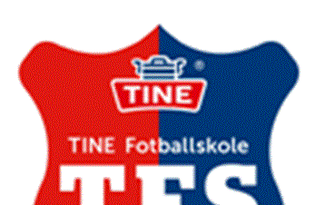 Tine Fotballskole 2015