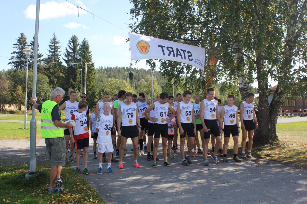 Halmsås har fått ny nettside. Mer stoff kommer etterhvert.
