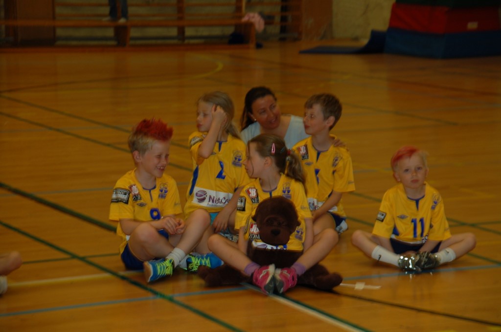 Lagsrapport HS2008 2014-2015