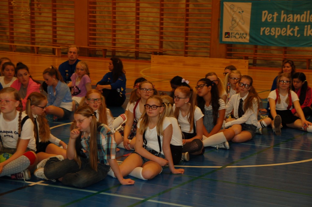 Lagsrapport J2003, 2014-2015