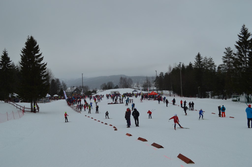 Lommedalsrennet - søndag 15. februar 2015