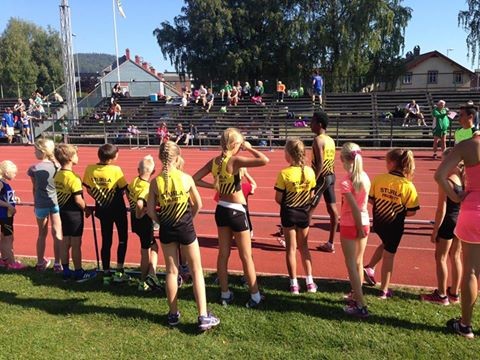 Mye gult og svart på Elvelekene