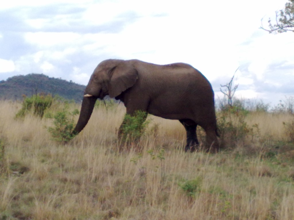 Resultater karusell 3. 27 Mai