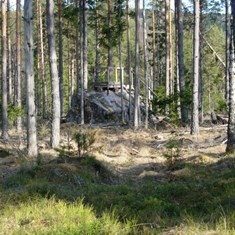 Resultater Odalsløpet 2014