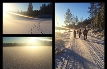 Skitrening torsdag 8. januar 2015
