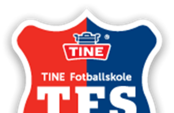 SSK Tine fotballskole 2015