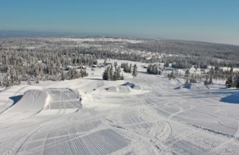 Nordbygda/Løten Ski arrangerer alpinkurs på Budor